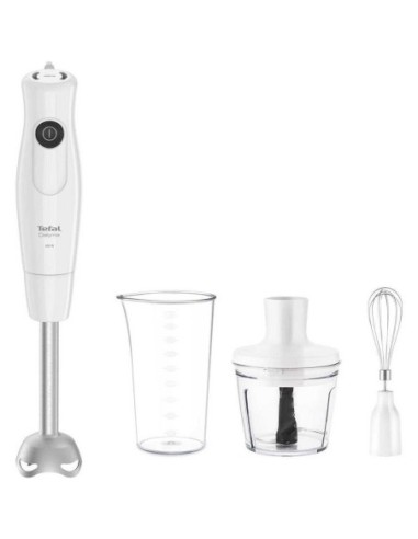 ΡΑΒΔΟΣ ΜΠΛΕΝΤΕΡ TEFAL HB5331 KALUGA 600W