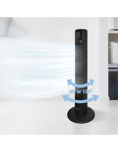 ΑΝΕΜ/ΡΑΣ ROHNSON R-8110 ΕΠΙΔΑΠΕΔΙΟΣ 30W ΠΥΡΓΟΣ ΜΑΥΡΟΣ ΜΕ ΤΗΛΕΧΕΙΡΙΣΤΗΡ