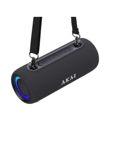 Portable Audio